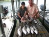 (06/18/2018) - Nice Striped Bass